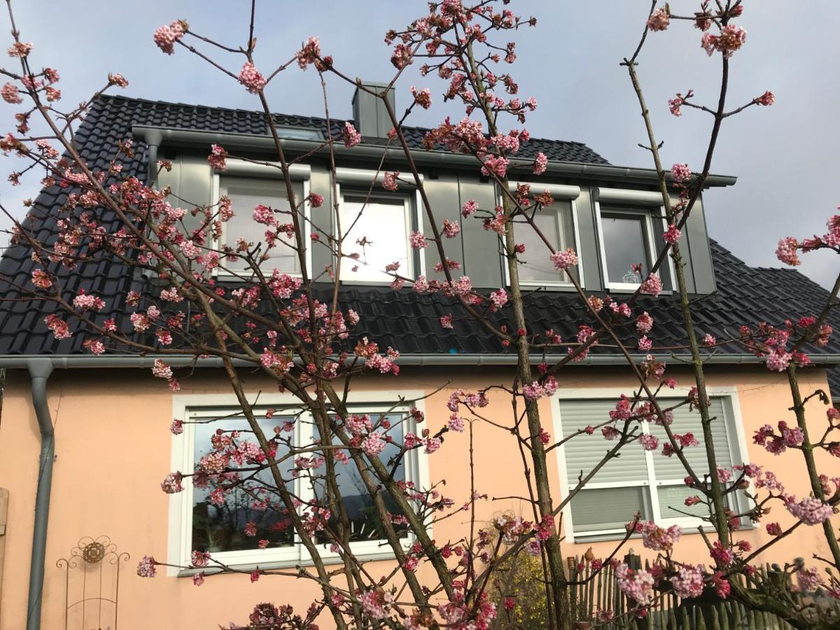 Kleine Auszeit Mit Aussicht Velbert Toenisheide Apartment Exterior foto