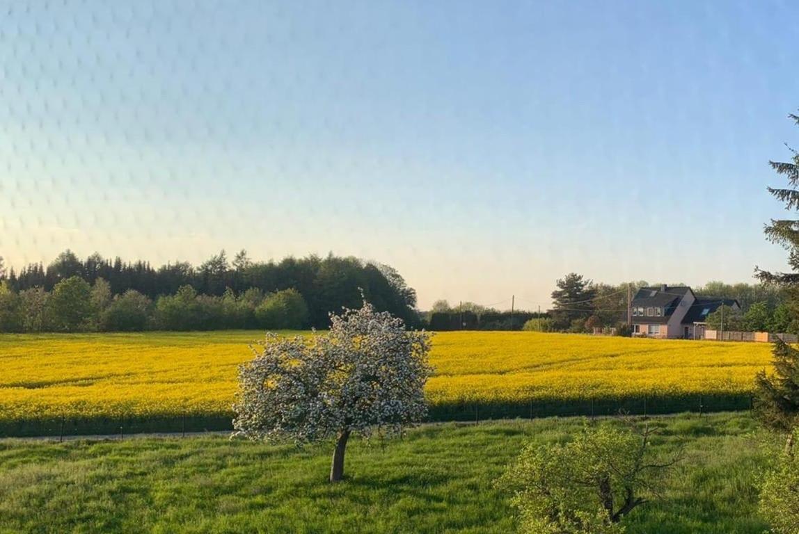 Kleine Auszeit Mit Aussicht Velbert Toenisheide Apartment Exterior foto
